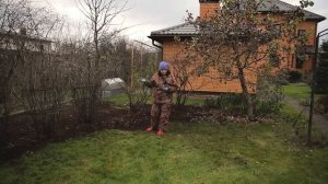 Снижаем инфекционный фон I Ржавчина, обрезка смородины