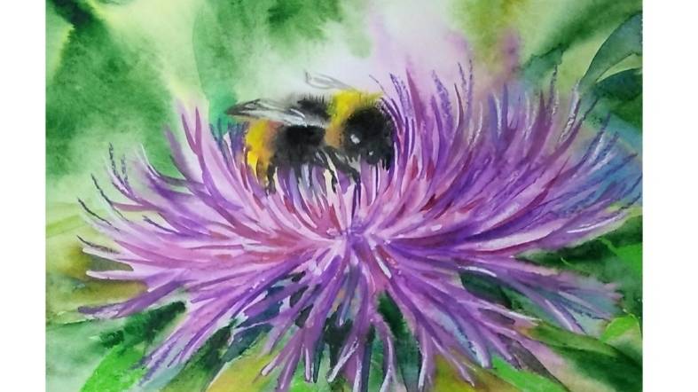 Как нарисовать шмеля на цветке акварельными красками. смотреть онлайн