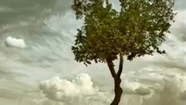 Tom Jones - Green Green Grass Of Home смотреть онлайн