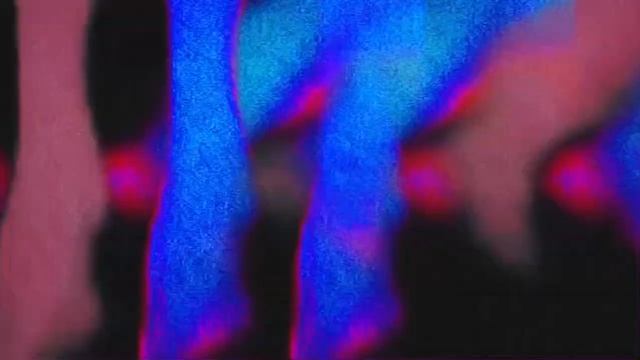 Amanda Lear - Tomorrow (cover) - played on GEM GK310 keyboard смотреть онлайн