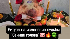 Ритуал на изменение судьбы _Свиная голова_ #ритуал #изменениесудьбы #свинаяголова