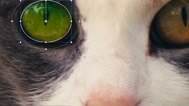 FREE Motion Tracking VFX - How To Use Mask and Motion Tracking in Davinci Resolve смотреть онлайн