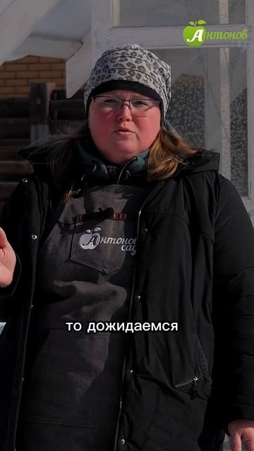 Обработайте сад от вредителей смотреть онлайн