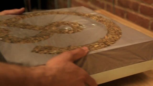 An Eco-vative idea: biodegradable mushroom packaging смотреть онлайн