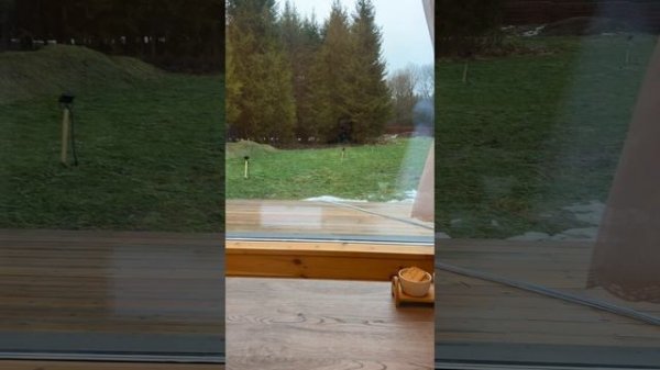 Баня с панорамными окнами