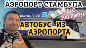 Быстрый Автобус из Нового Аэропорта Стамбула до Города ВСЕГО ЗА 200 ЛИР! Как добраться до центра?