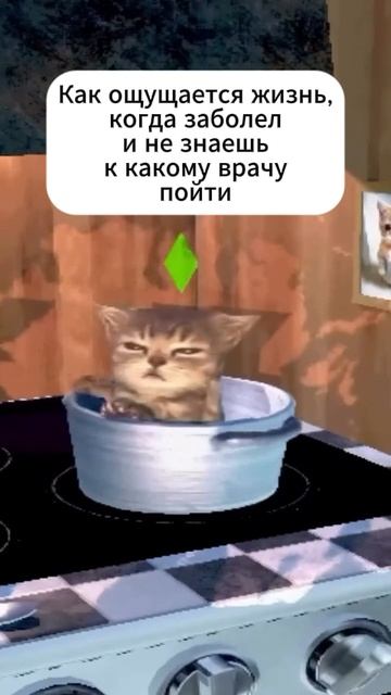 Как ощущается жизнь, когда заболел