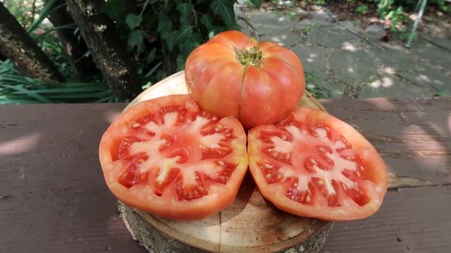 True Giant Ponderosa Tomato, Perfectly Mild And Fruity. Very Tasty