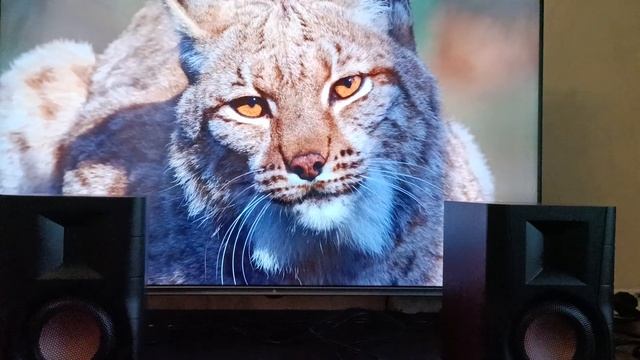 Hi-Vi Swan D100 смотреть онлайн