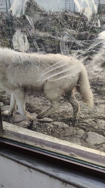 5b82d1a3-89c0-4696-9dcd-d0b9b5b01bf1-1_all_21839.mp4