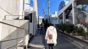 Мой будний день в Японии и поездка в Токио