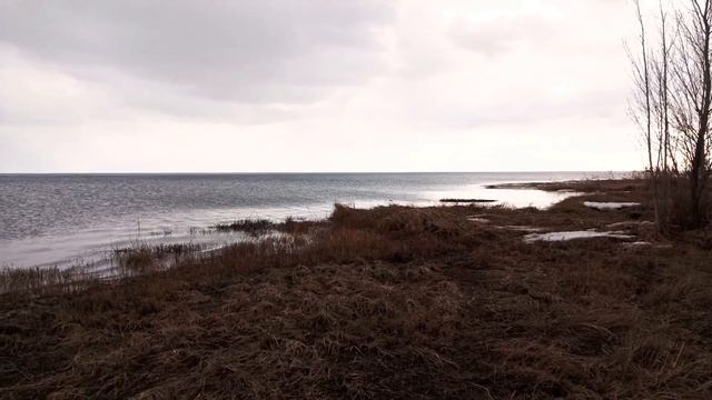 Немножко весеннего, залипательного Азовского моря Вам в ленту смотреть онлайн