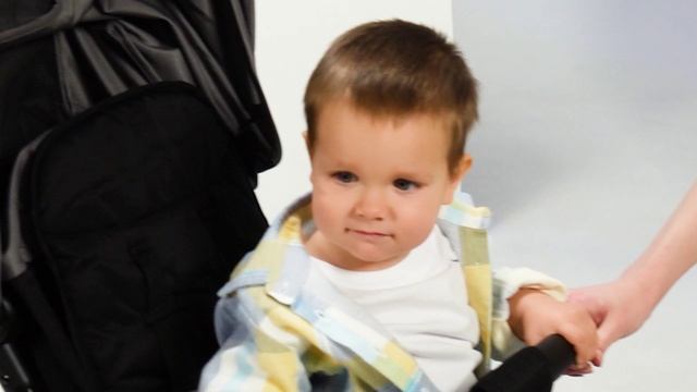 Коляска Peppy Latina видео обзор смотреть онлайн