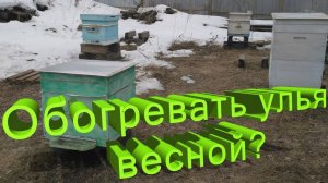 Профессор Кашковский: Нужно ли обогревать улья весной?