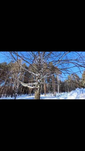 Многодетная мать устроилась к угасающему вдовцу миллионеру. А едва она села за рояль… смотреть онлайн