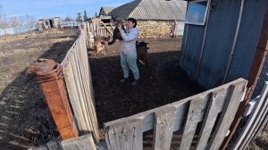 Жизнь в маленькой деревне