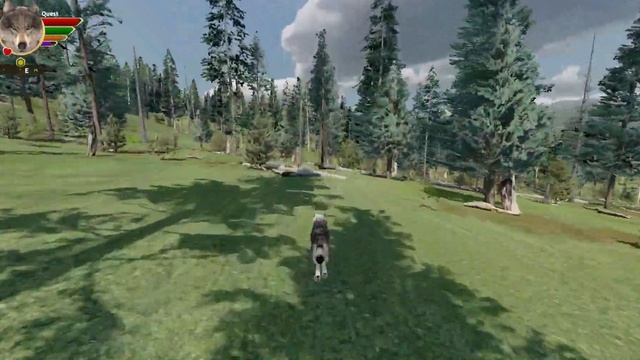 Wolf Quest AE Easy Play   Quest Slough Creek 3