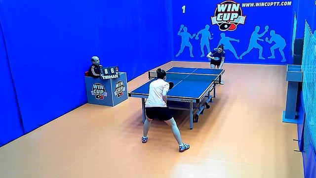 Прямая трансляция WINCUP 24.12.2018 Финал Цыганок Александра Тараник Елена смотреть онлайн