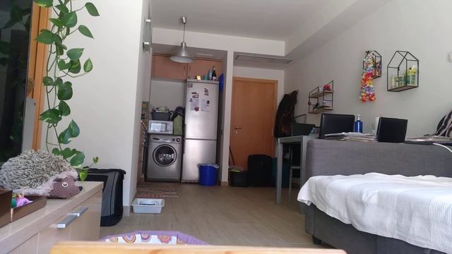 Teddy 29/07 4 crisis min 3-20-36-47 смотреть онлайн