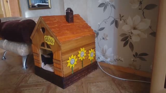 Домик для кошки в деревенском стиле своими руками. Белла довольна😹 смотреть онлайн