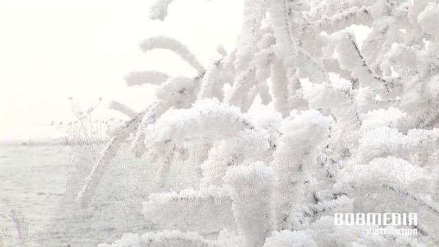 ACANTA feat Zero Project - Winter Emotions HD - Fields Of Nature смотреть онлайн