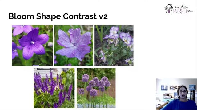Plant an all purple flower bed - 1 color design смотреть онлайн