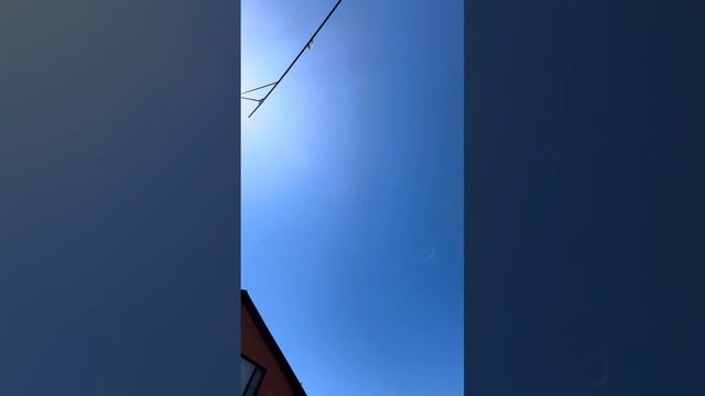 СВГ Голуби,молодежь 04.05.2024 смотреть онлайн