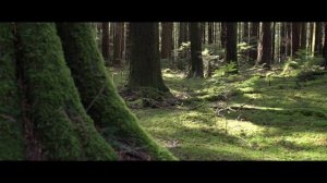 Oppo Reno 7 Pro best cinematic video | Cinematic mode oppo Reno 7