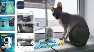 Камеры видеонаблюдения Galatronics С3 4G и  Galatronics А 20