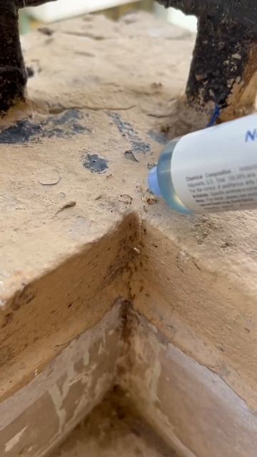 Ants control treatment смотреть онлайн