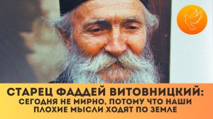 Сербский старец Фаддей Витовницкий: «Сегодня не мирно, потому что наши плохие мысли ходят по земле»