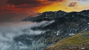 Удивительная планета Земля!...