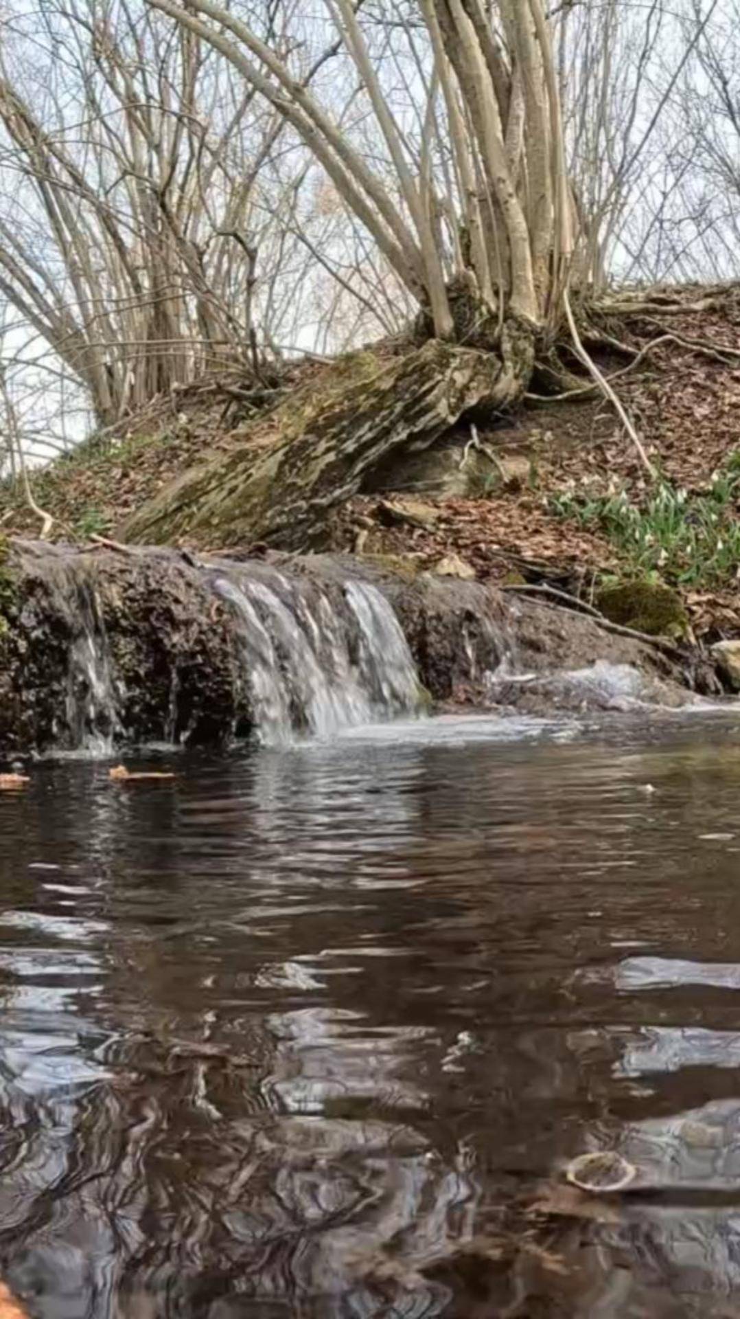Журчат ручьи смотреть онлайн