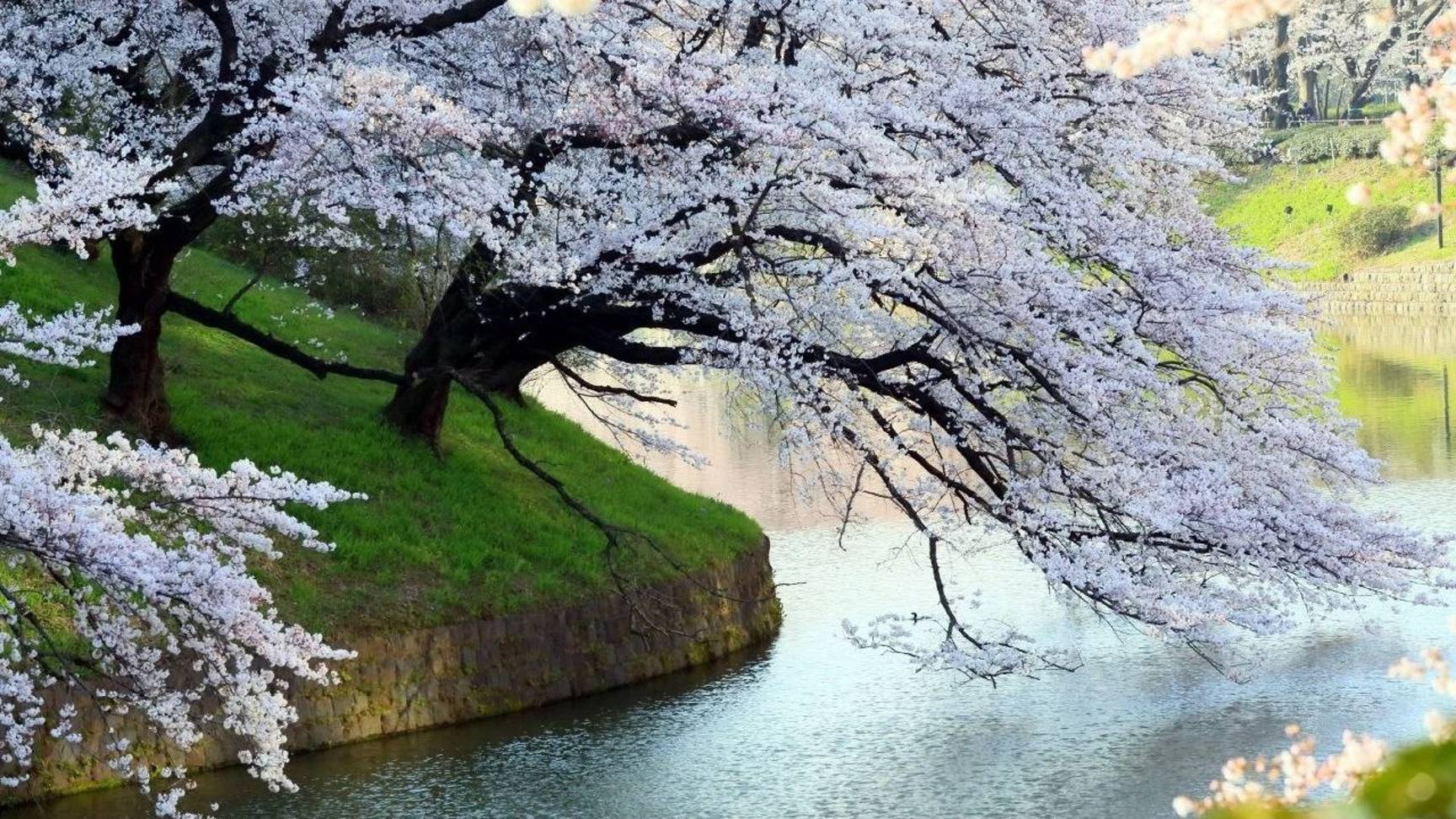 Балансы равноденствия смотреть онлайн