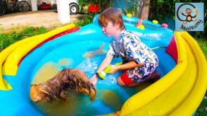 Манкиту играют в погоню на машине и салон красоты для животны.