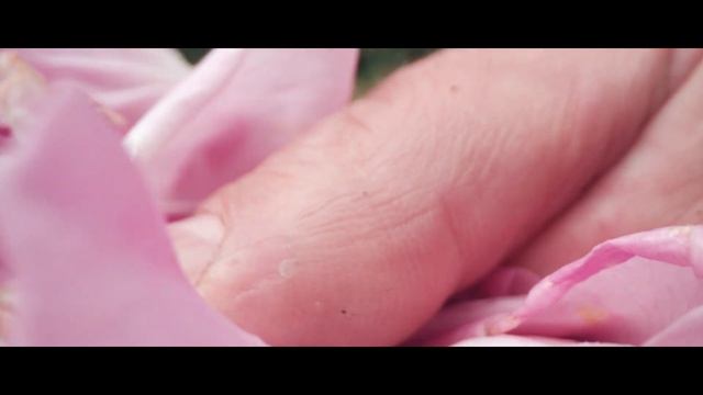 Miss Dior Rose N’Roses