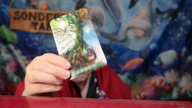 Quicker Picker Upper 5 30 24 Daily Tarot Reading смотреть онлайн