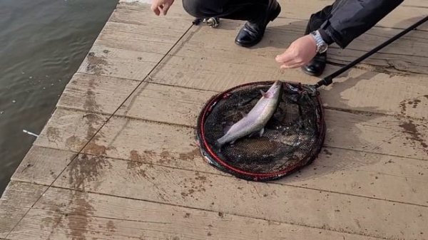 -4541652249134509186