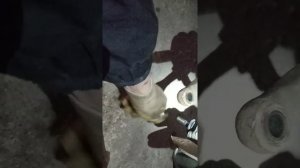 установка шаровой опоры приора