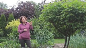 Май в Саду I Сад Людмилы Кудасовой