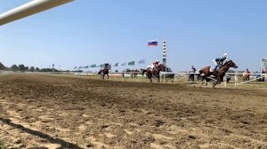 Скачки  Дерби