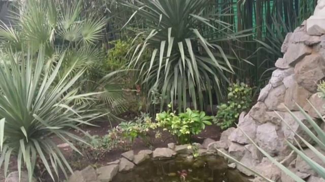 Ялта 💖💖💖 смотреть онлайн