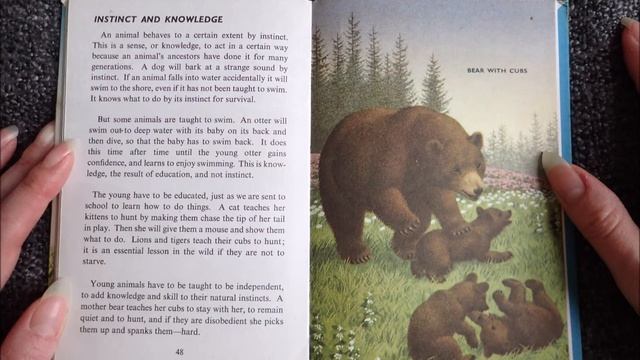 Ladybird-Animals and How They Live: Instinct and Knowledge смотреть онлайн