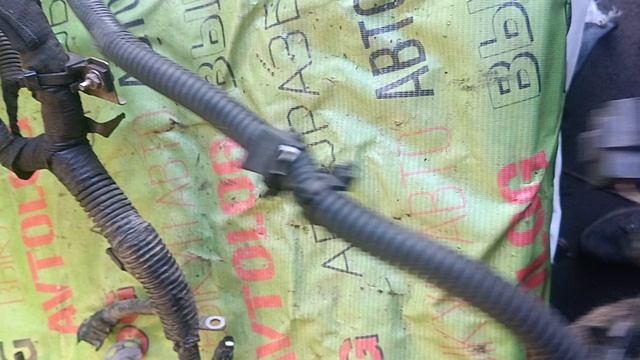 Проводка Лада Ларгус 1.6лс 21129 ДВС 1.6л