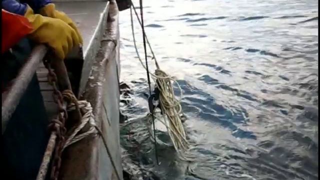 Разности смотреть онлайн