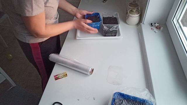 На завтрак приготовила творожную запеканку. Посеяла помидоры в грунт. смотреть онлайн