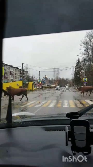 Всё по правилам!!!🤣🤣