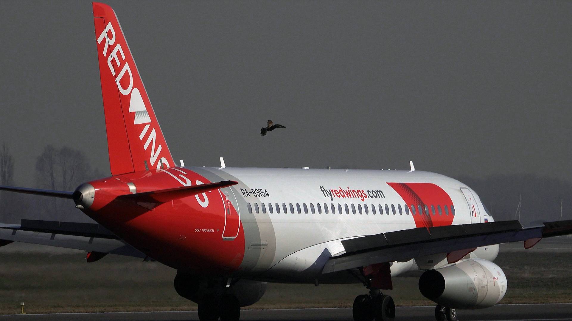 Птичку жалко... Убилась о Суперджет