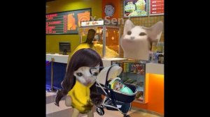 BANANA CAT BABY 🐱 HAPPY AND 😿 CRY VIDEOS 17 #catmemes #cat #bananacat #happycat #fyp