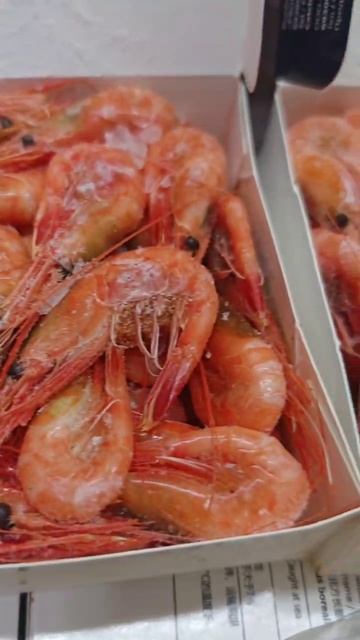 Креветка северная